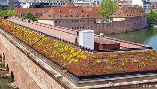 Terrasse-Panormique-Barrage-Vauban-Strasbourg